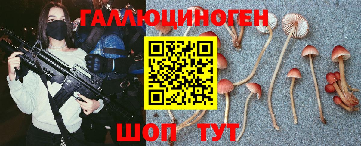Галлюциногенные грибы Magic Shrooms Иваново